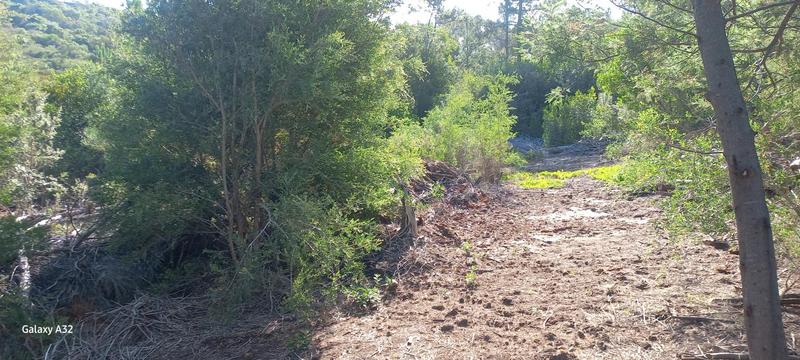 0 Bedroom Property for Sale in Wilderness Western Cape